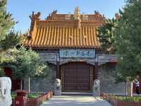 春回大召，陽光正好