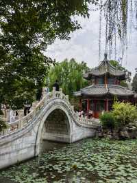 河北保定古莲花池