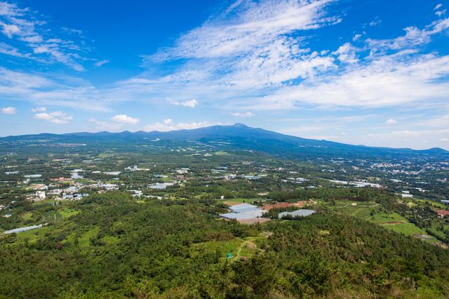 新的一年在濟州開啟 [ 幸運之旅 ]。