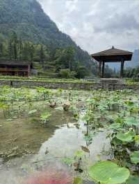 土家十三寨景區