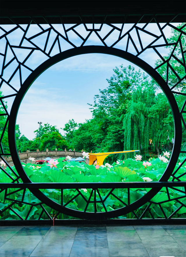 Citywalk|成都必打卡寶藏公園--新都桂湖
