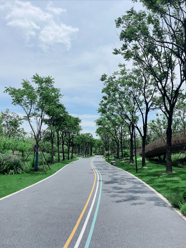 就是我，在38度的高溫裡帶娃去了公園大戶外