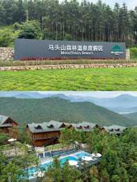 廣深周邊|住進清遠森林氧吧中會呼吸的木屋