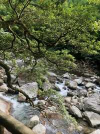 长沙周邊遊 | 株洲神龍谷森林公園
