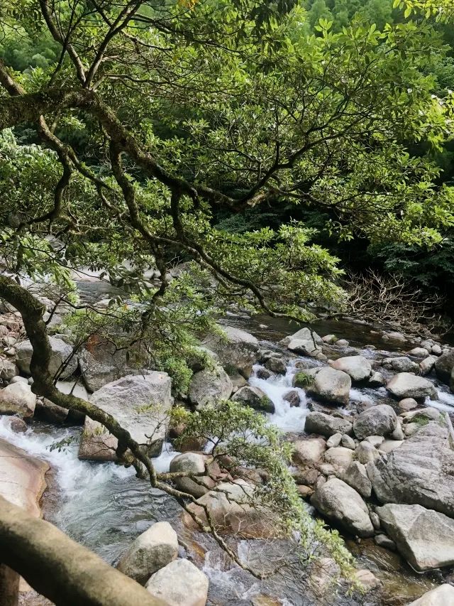 长沙周邊遊 | 株洲神龍谷森林公園