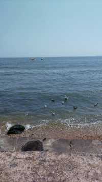 暢遊泊石灣海濱