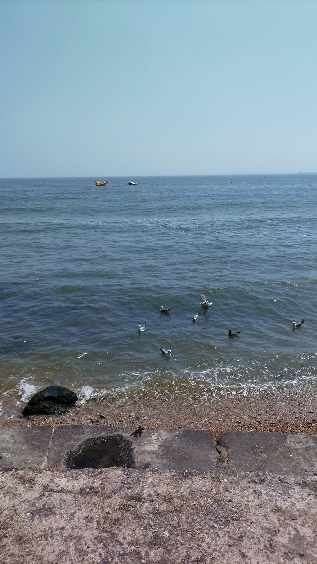 暢遊泊石灣海濱