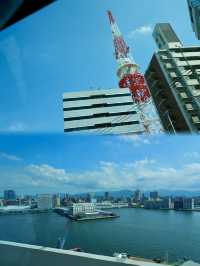 剛回來！隨便問MSC榮耀號郵輪省錢攻略大公開