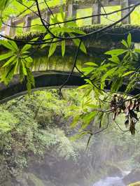 8月初的神農架，很美很涼爽，但是來前請三思