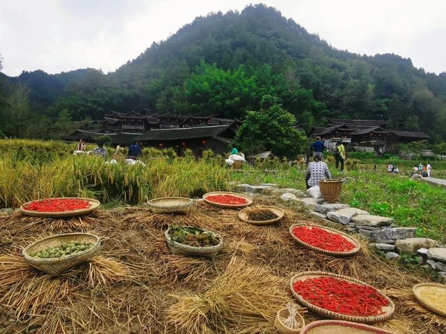 北緯30度的曠世的仙境，離重慶近在咫尺