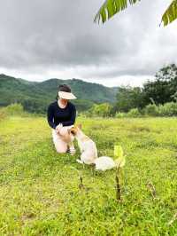 瓊中百花嶺爬山好去處