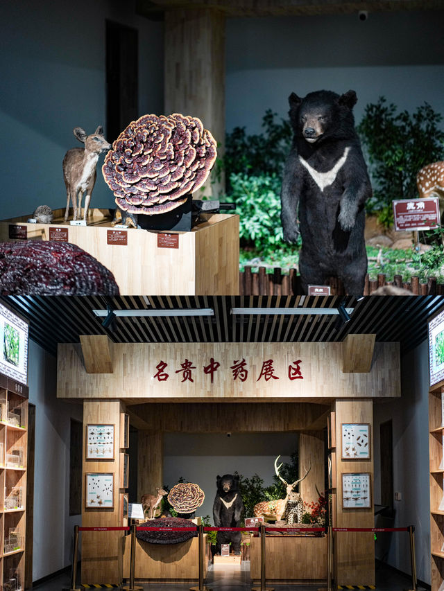 江西上饶｜旅行中的養生局就在德興！