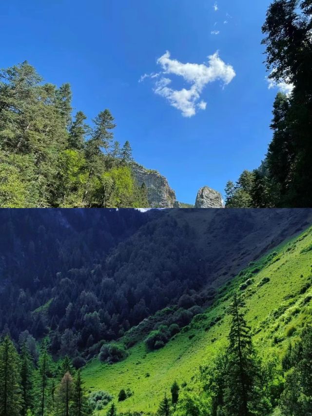 甘南大峪溝四天遊攻略來啦，太美了