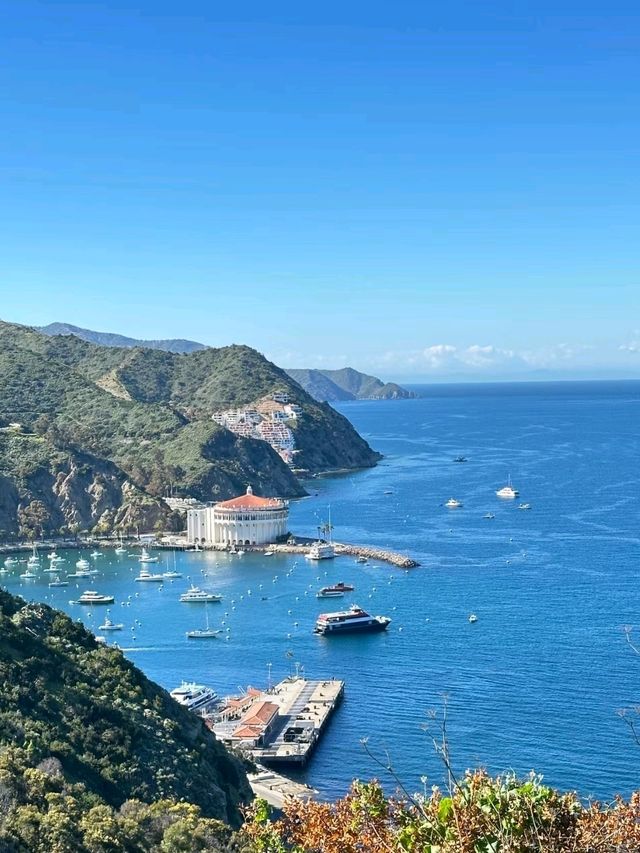 Catalina island is LA is Mesmerizing❤️🥰✨