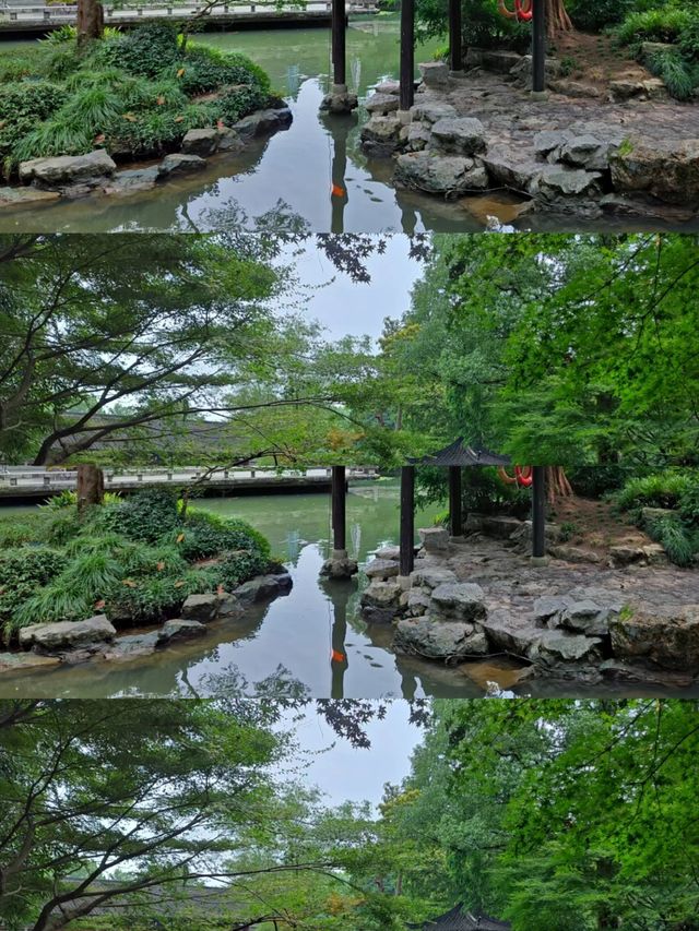 杭州植物園。