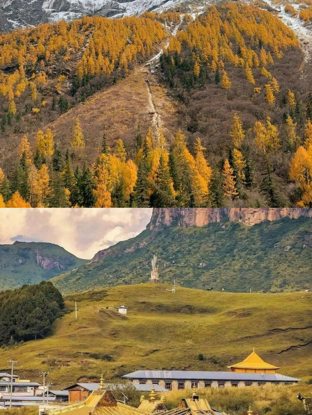 人生建議：一定要在秋天去一次甘南，那簡直美到極致