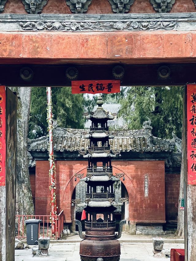 中國奇譚中的譚貓廟終於見到了。