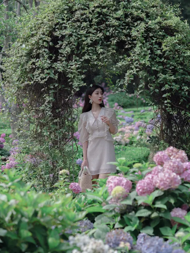 สวนป่าแห่งชาติกงชิง - สวนปาเซียน