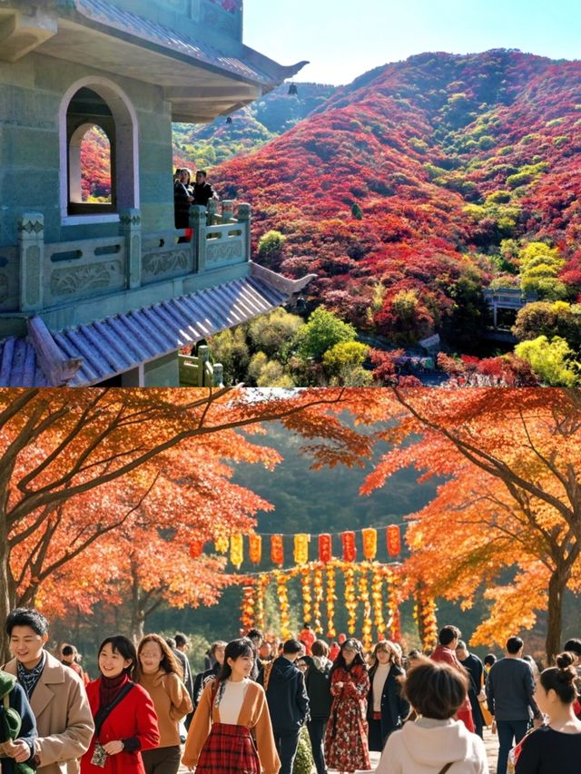 濟南紅葉谷！如詩如畫，秋意盎然的童話世界！。