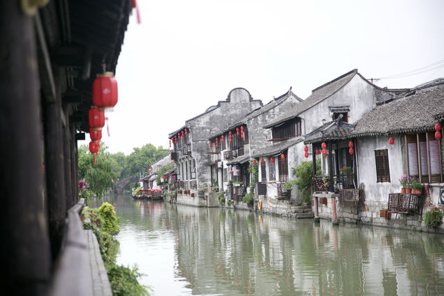 探訪楓涇古鎮：水鄉詩意與細雨交織的慢時光。