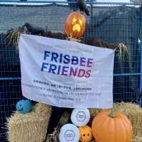 Washington park Frisbee Friends Halloween 