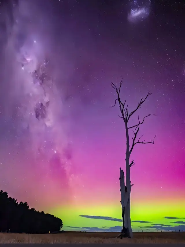 오로라 아래의 뉴질랜드.