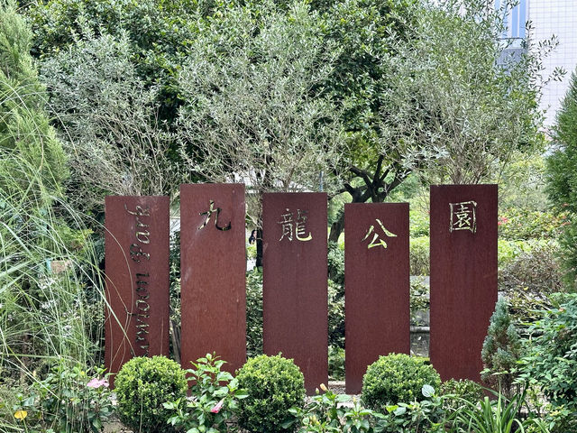 香港九龍公園：瀑布下站著能忘記煩惱事。