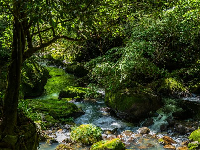 襄陽九路寨｜綠野仙蹤般的大自然寶藏之地。