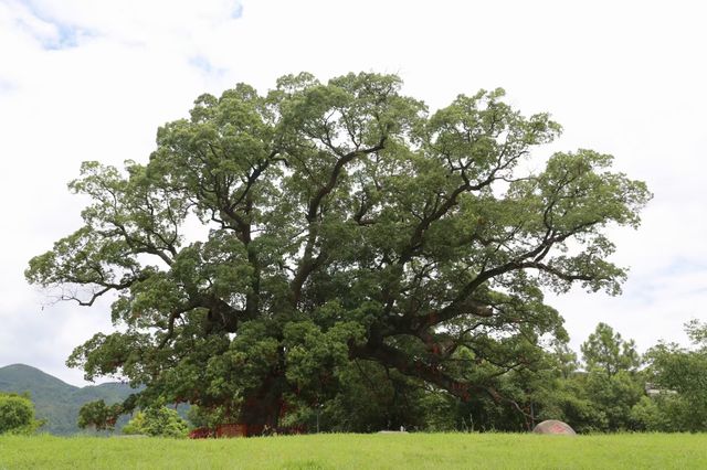 一座活生生的歷史博物館——安義古村。