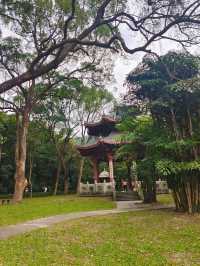 江門新會圭峰山天然氧吧。