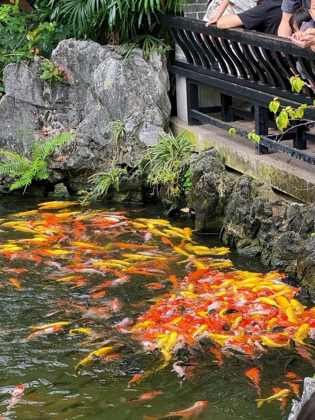 快來和園，開啟一場與嶺南古韻的浪漫邂逅吧！