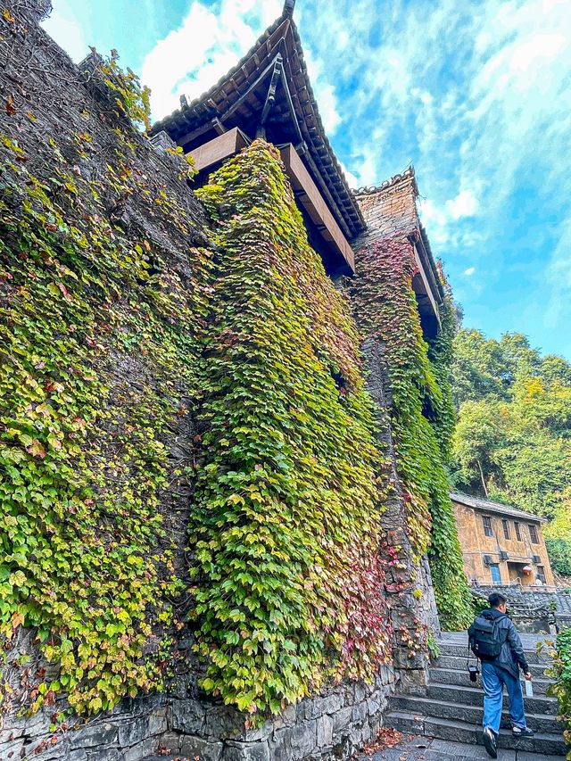 接下來的宜昌，堪稱國內秋日旅遊天花板。