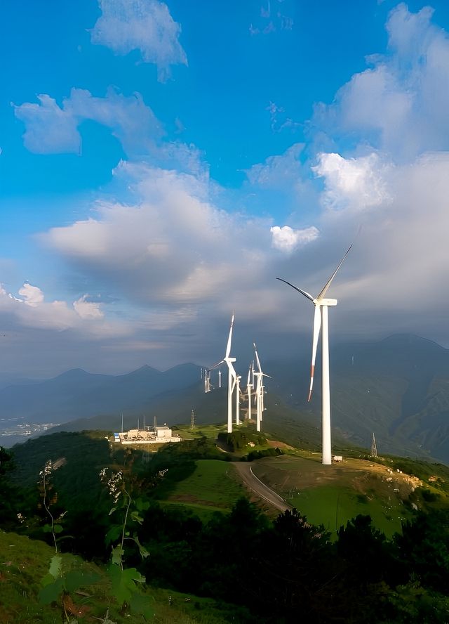 登頂牛草山，氣勢磅礡、心曠神怡。