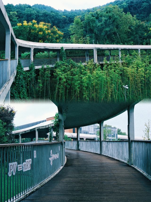 周末去哪兒|寧波院士中心|寶藏的小眾旅行地。