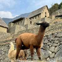 Machu Picchu, Peru