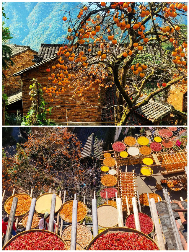 11-12月出遊必看國內7個最佳旅遊地，不去後悔一輩子。