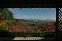 嵐山不止竹林小火車｜大河內山莊楓葉情報。