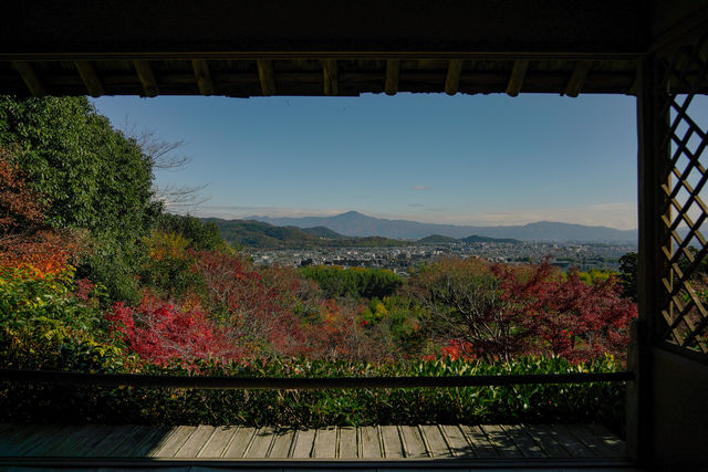 嵐山不止竹林小火車｜大河內山莊楓葉情報。