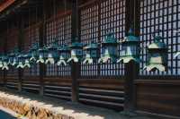 京都出發｜宇治．奈良 一日遊攻略來咯。
