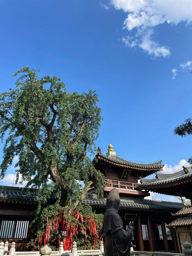 湘潭昭山烏石風景區。