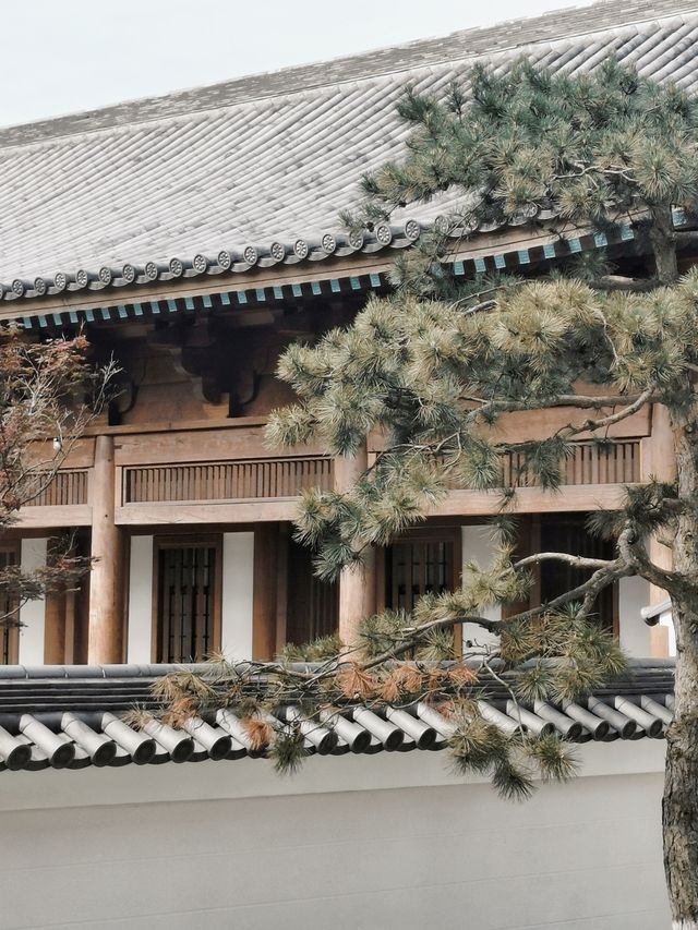 寶藏寧海|超美唐風小眾寺廟-廣德寺。