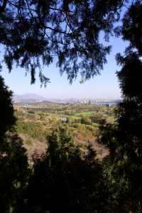登高，望遠，感受北京這美好秋景。
