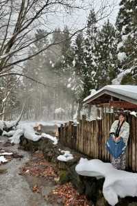 Discovering the Hidden Hot Springs of Akita's Nyuto Onsen Village in Japan