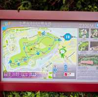 澳門機位❗️小潭山觀景臺❗️眺望新葡京❗