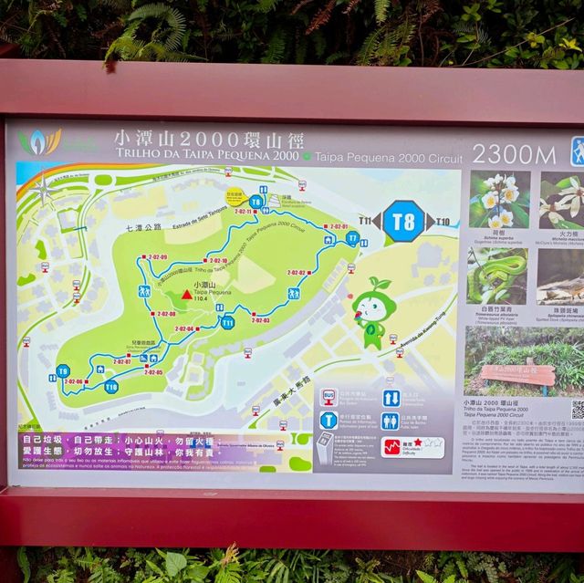 澳門機位❗️小潭山觀景臺❗️眺望新葡京❗