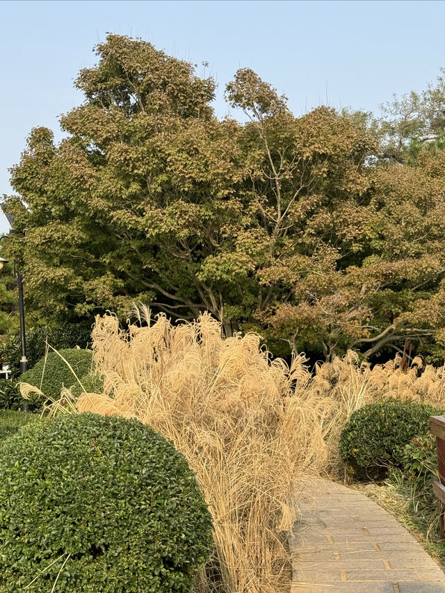 青島市區海邊散步打卡，太平角當然不能錯過。
