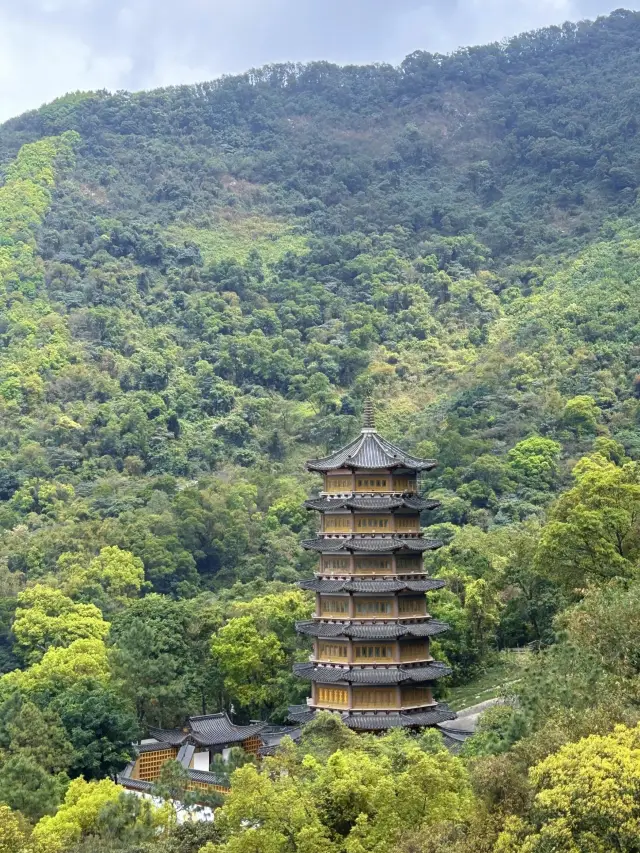 Jiangmen Chishi Scenic Area: A Beautiful Natural Journey!
