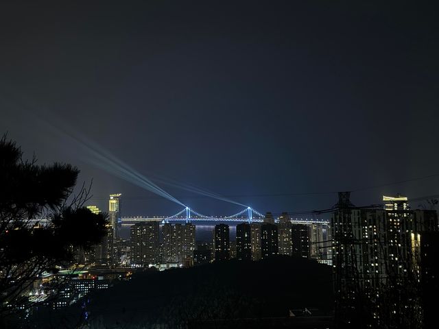 富國公園｜大連獨有的月光浪漫記憶！
