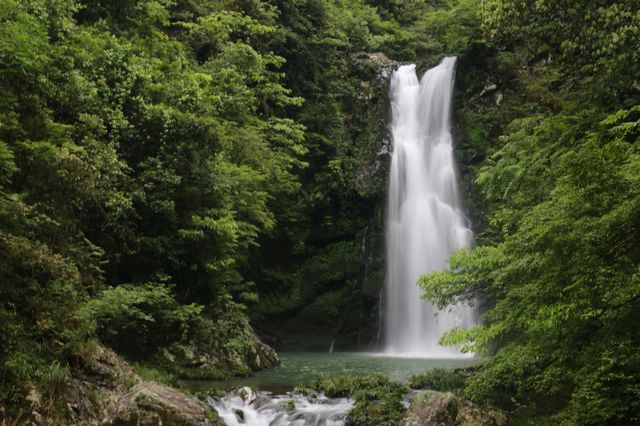 紅色之旅，井岡山革命聖地等你來
