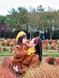 花開海上實拍附親子遊園攻略必收藏！